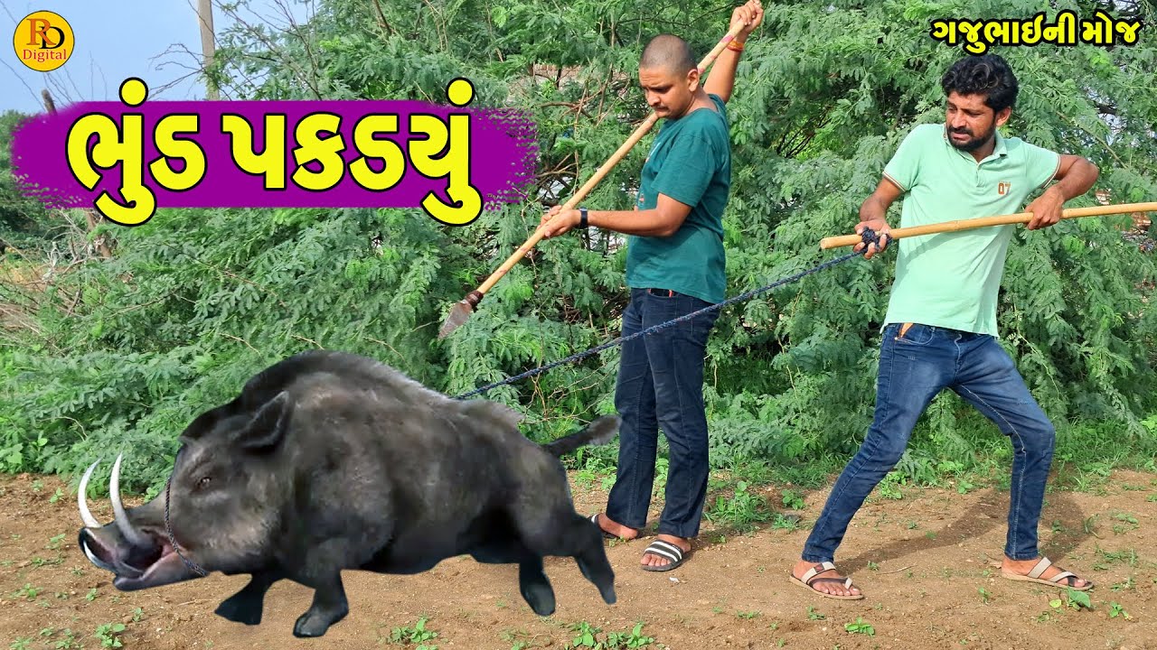 Bhund Pakdyu || ભુંડ પકડયું || Gajubhai ni Moj || Deshi Comedy ||