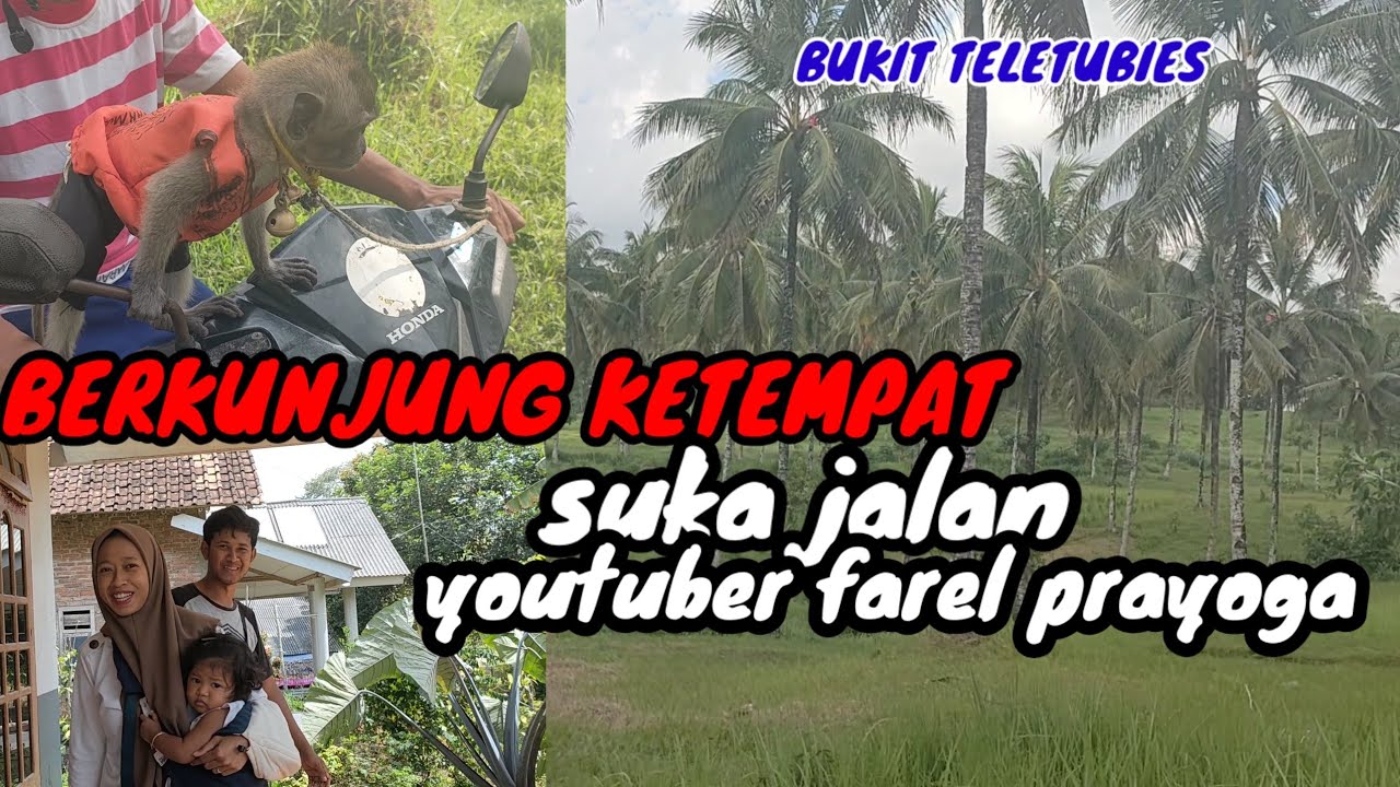 berkunjung di suka jalan dan di bukit teletubies