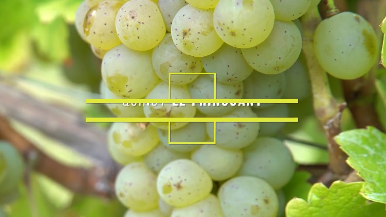 Domaine JOSEPH MELLOT   Vid&eacute;o de pr&eacute;sentation