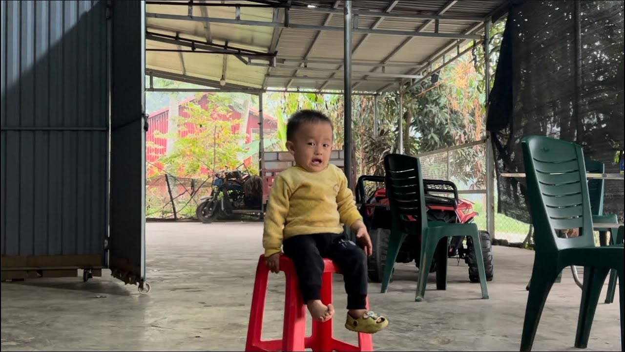 Nhà Thành Mai Tây Bắc.  Chuẩn Bị Cấy , Bé Quý Ngôi Chơi Một Mình