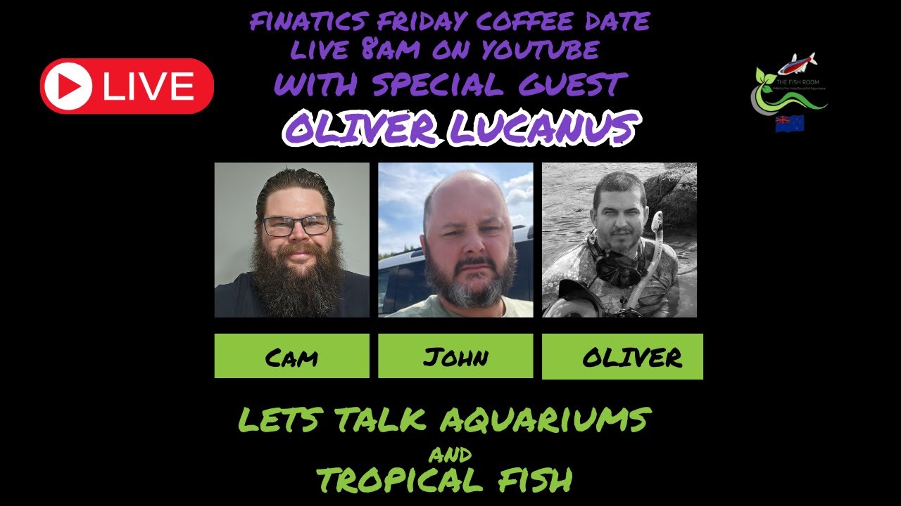 FFCD Episode 221 With Oliver Lucanus