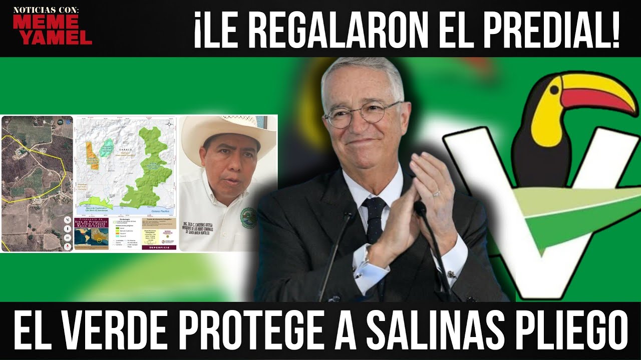 Alcalde de Huatulco perdona predial a Salinas Pliego ¡le debe favores!