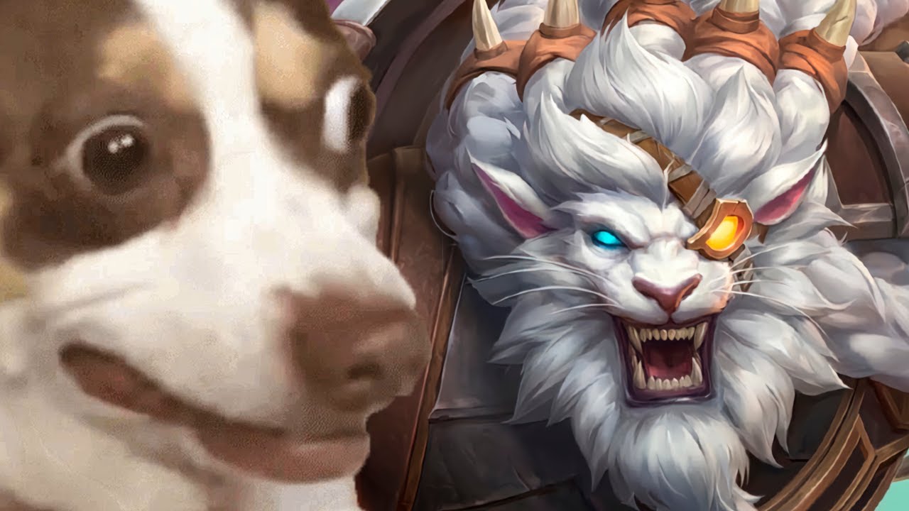 RENGAR SUPORTE