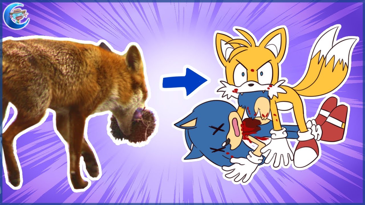 Sonic Characters But They Act Like Real Animals - Part 2
