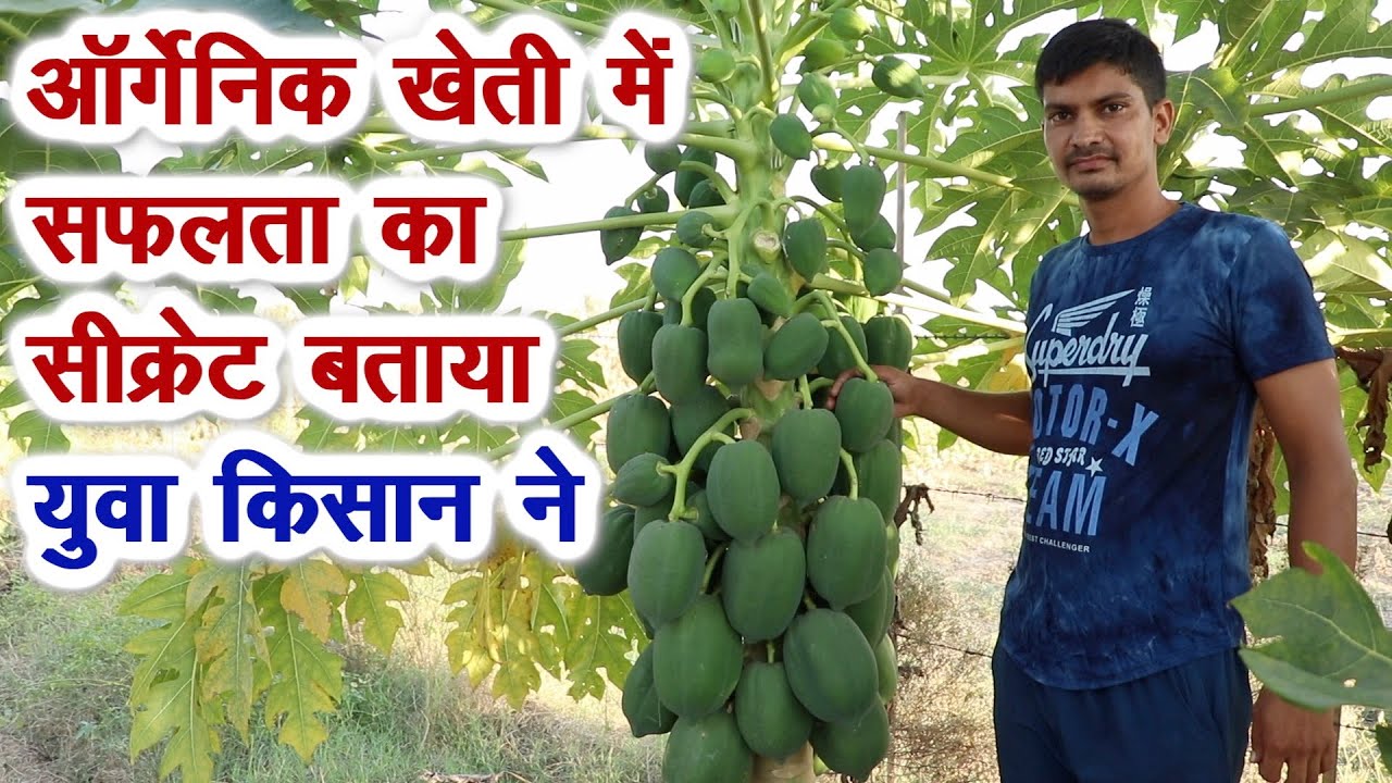 सफल ऑर्गेनिक खेती के सीक्रेट बताए युवा फार्मर ने Tips for Successful Organic/ Natural Farming