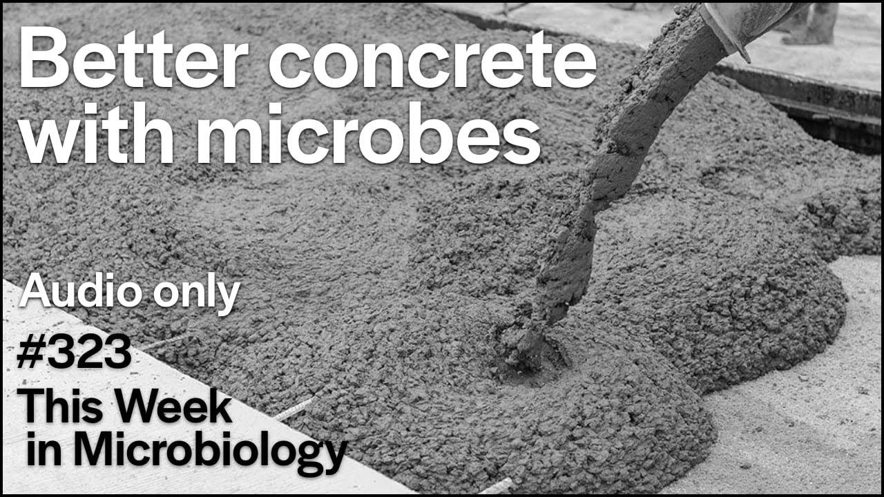 TWiM 323: Better concrete with microbes