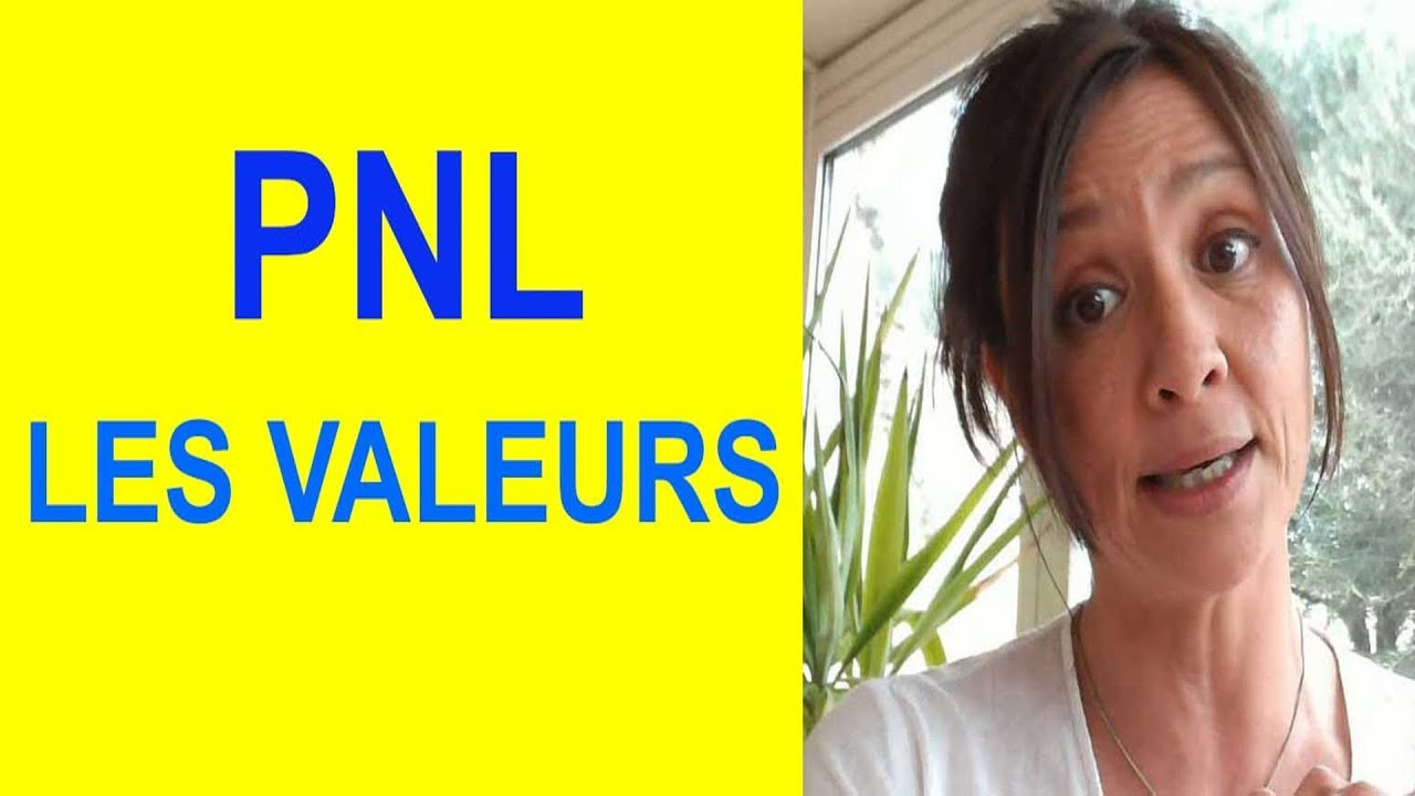 La PNL pour les nuls - Programmation neuro linguistique (les Valeurs)