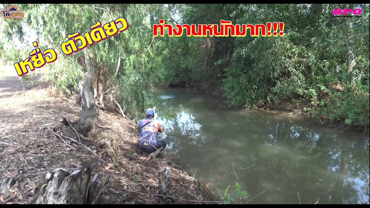 เหยื่อตัวเดียว ทำงานหนักมาก!!!
