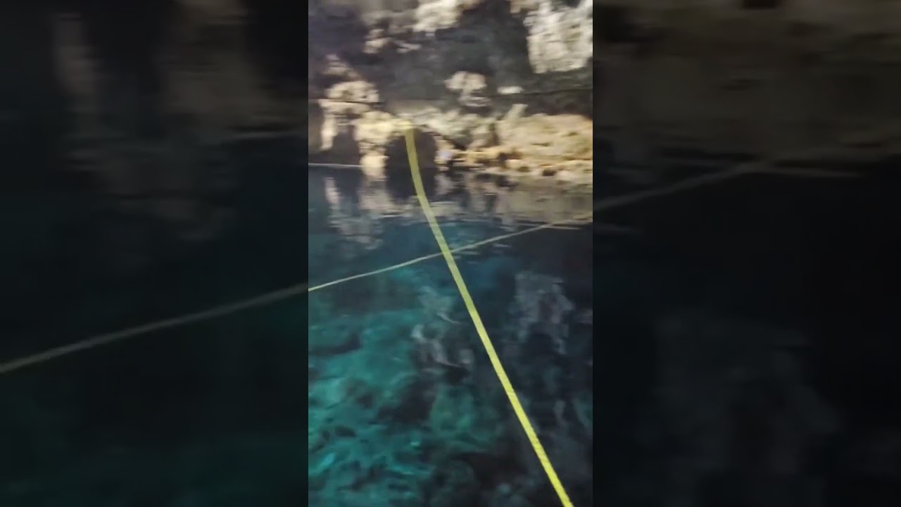 Cenotes Casa Tortuga Tulum (Near Cancun Mexico 🇲🇽 ) #shorts #cenotes