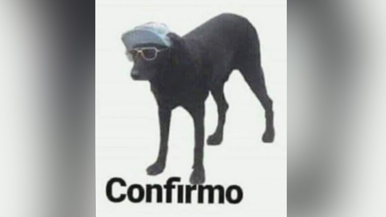 MEMES MUY XD #46