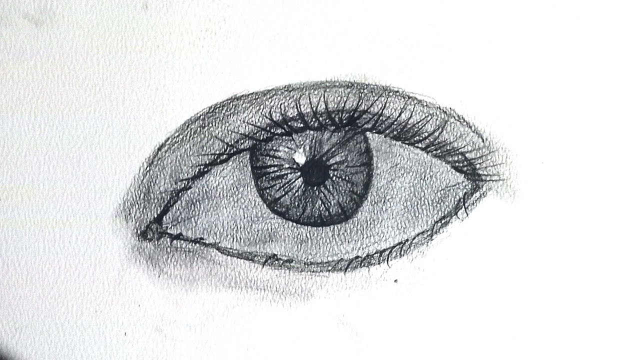 Easy sketch of eye picture easy draw sketch ✨️ | easy realistic pencil ✏️ draw sketch picture of eye