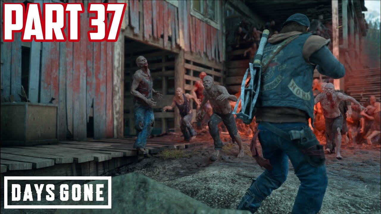 More Info On Sarah | Days Gone | Part 37