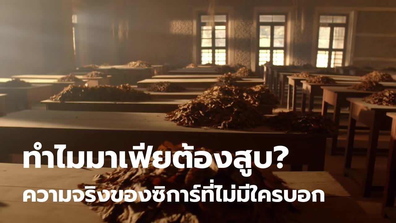 ใบไม้ม้วนเดียว คุมโลกได้ | ประวัติซิการ์ที่เชื่อม มาเฟีย การเมือง และสงคราม