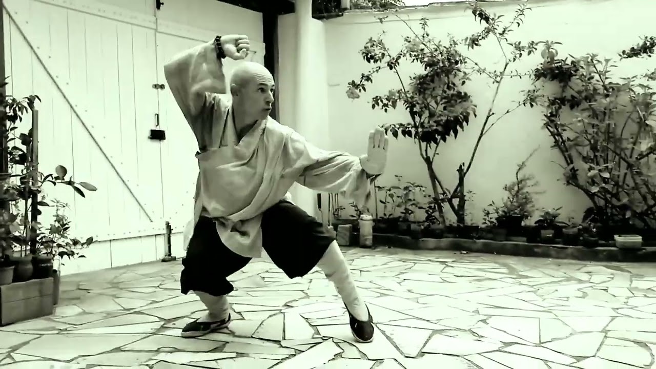 Shaolin Da Luohan Quan