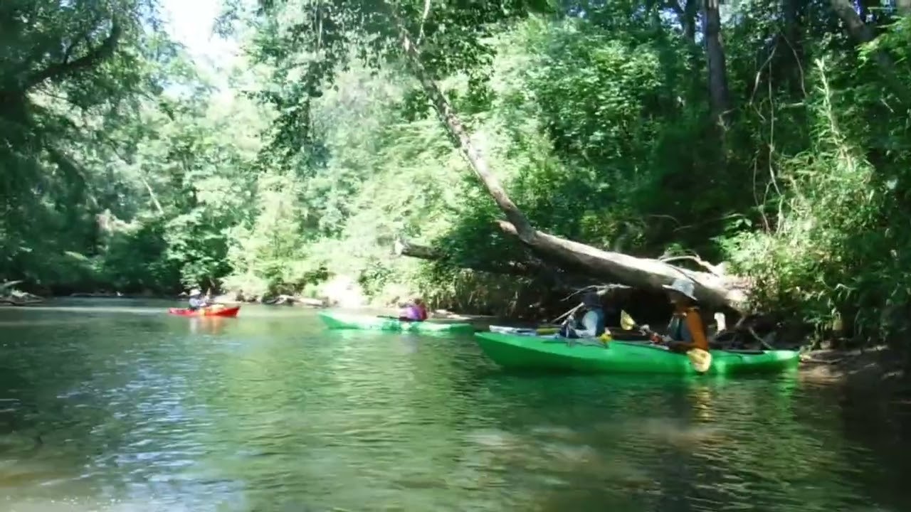 Kayaking through Secret Etowah River 2024