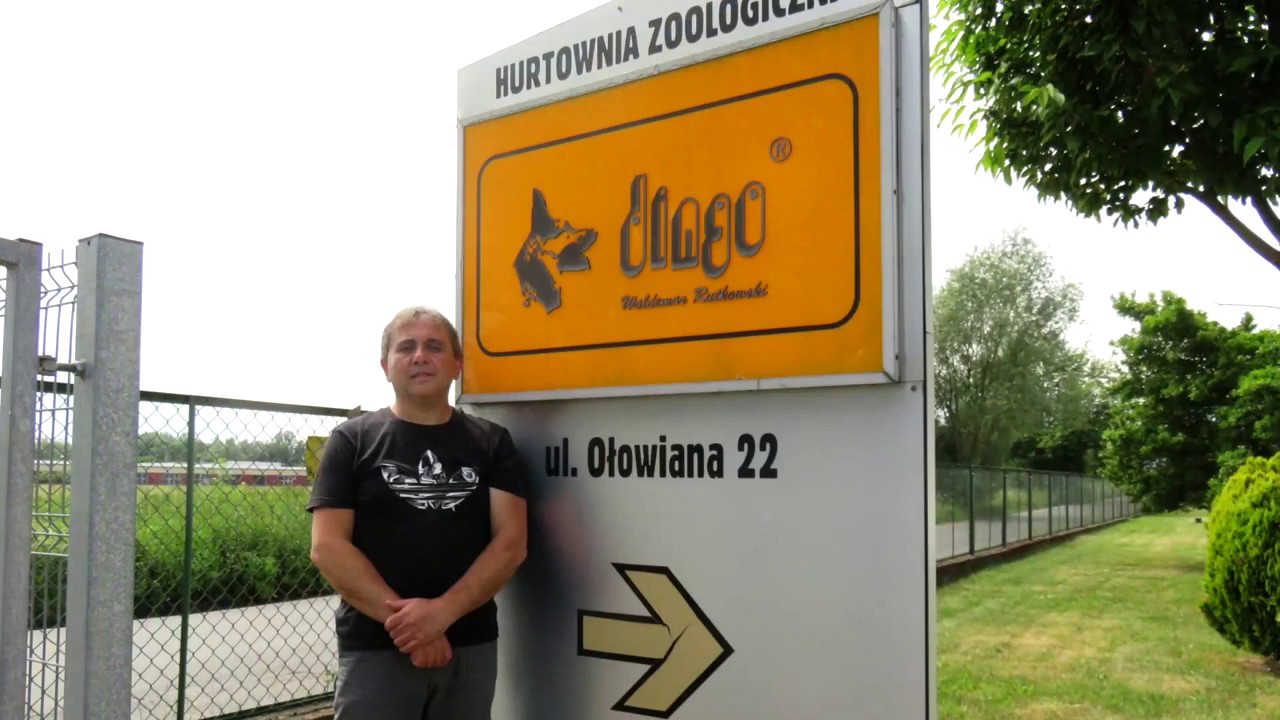 Dingo Gear Manufacturing