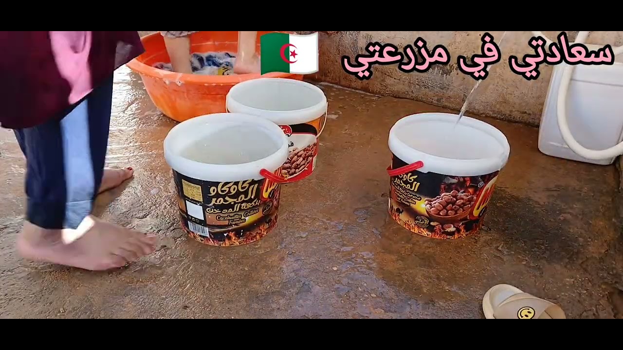 روتين الشطارة وتزرزيق💪💪💪