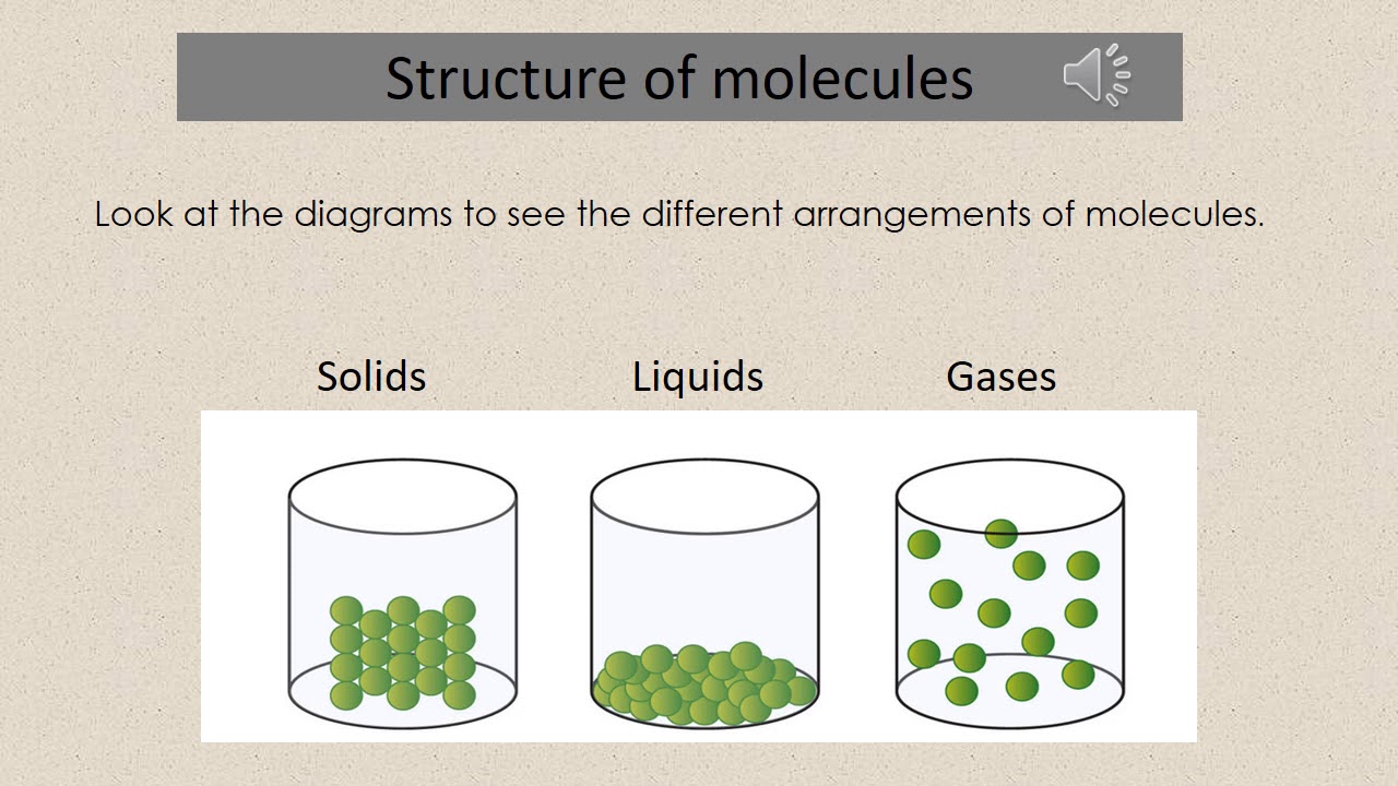 Grade 4 Natural Scienes and Technology Task 8 Revision Term 2 1