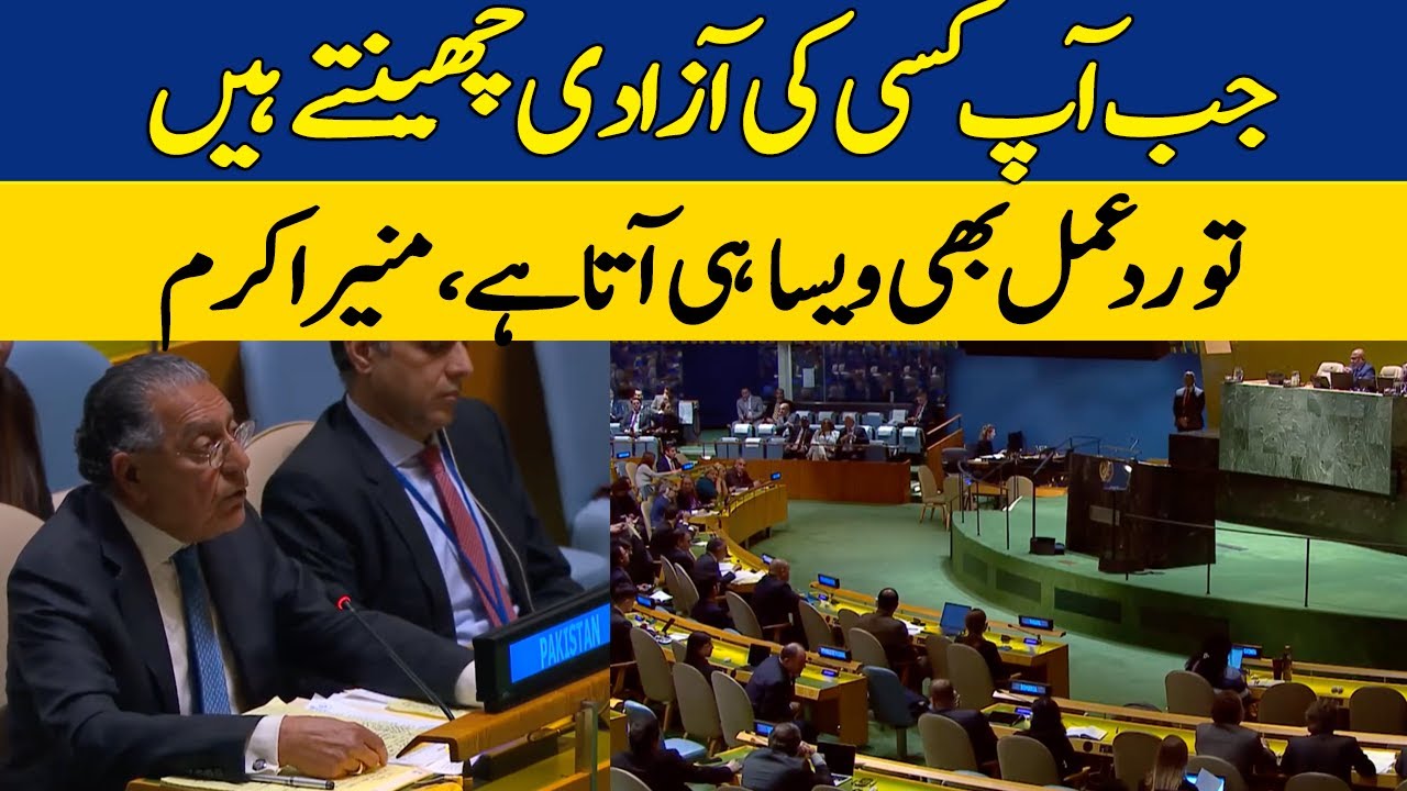 Historical Statement by Munir Akram at UN: 