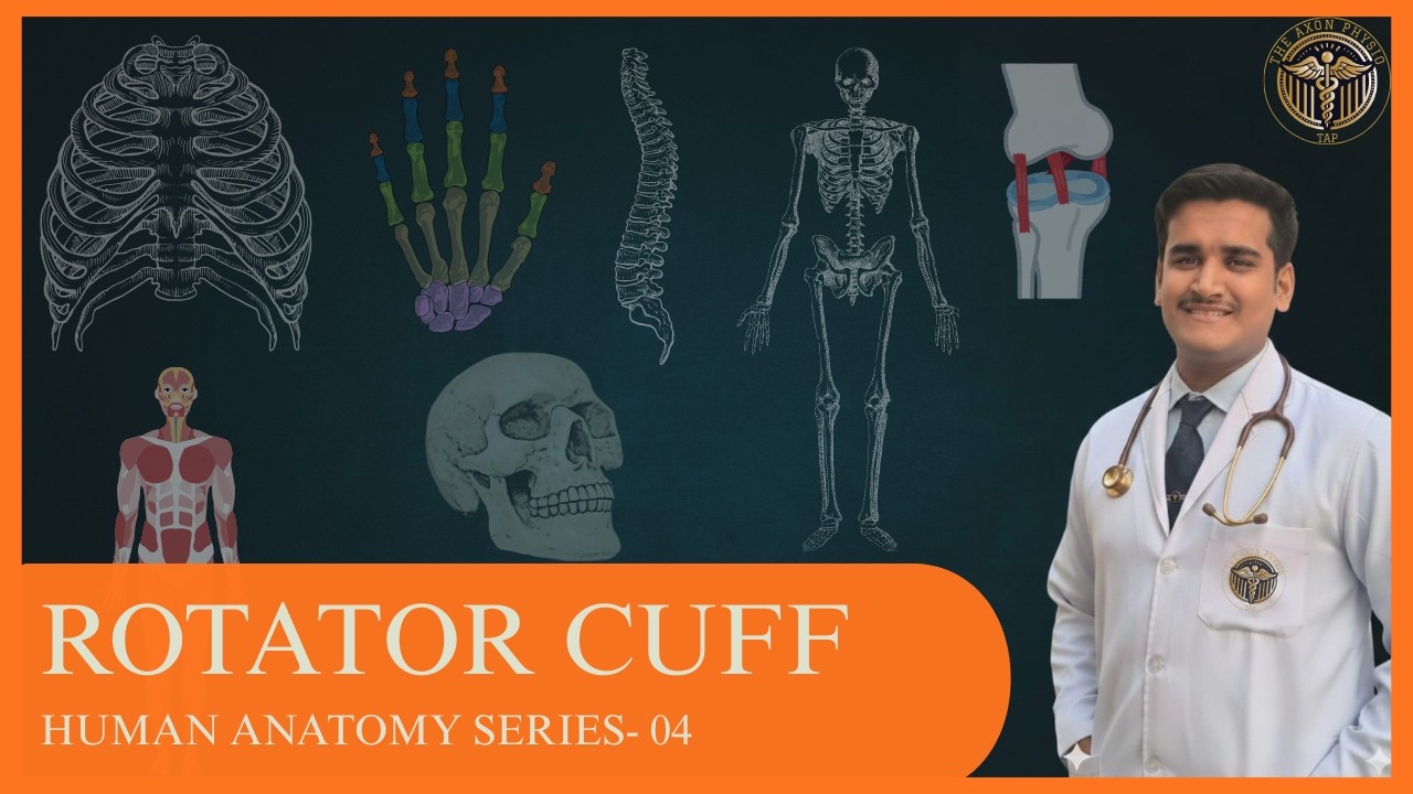 Rotator Cuff Explained in 10 Minutes | Anatomy, Muscles, Injuries & Physiotherapy Treatment
