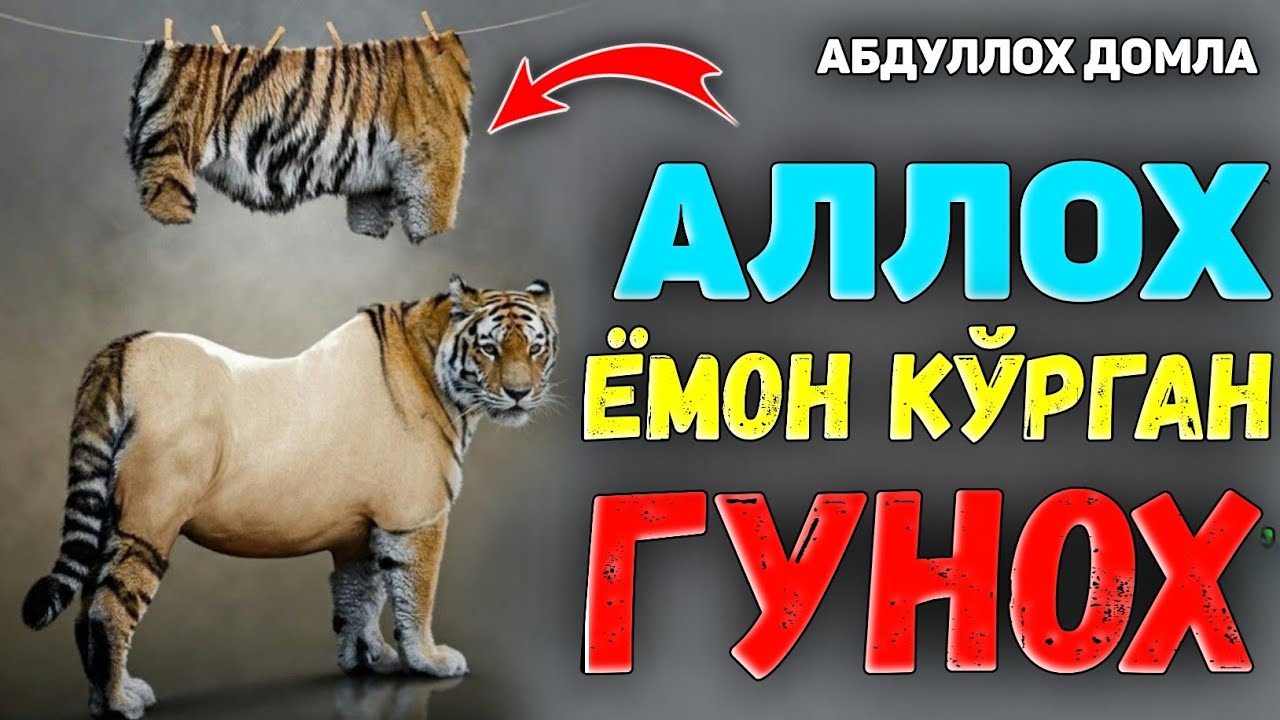 Аллох кечирмайдиган оғир гунох! |Абдуллох Домла |Abdulloh Domla 2025 |Ilmnuri #ilmnuri#abdullohdomla