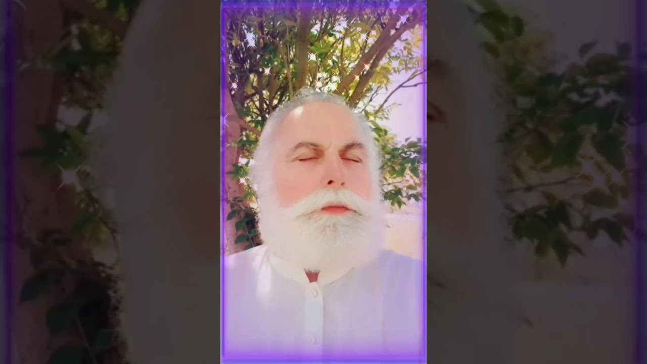 سید بادشاہ