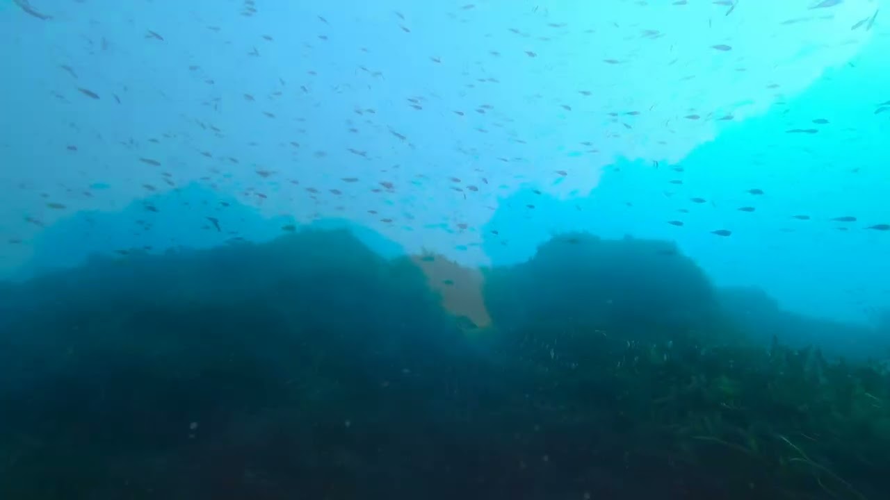 3 Gennaio 2026   Isola delle Femmine