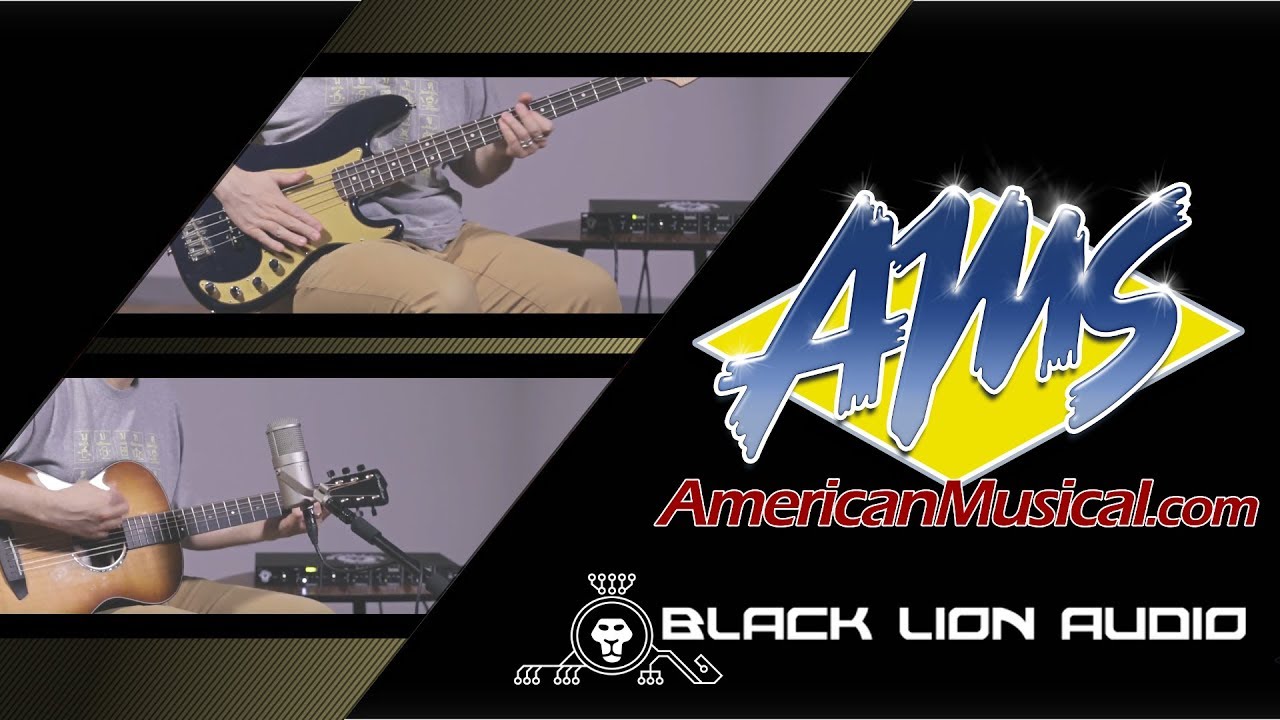 Black Lion Audio Auteur Quad Demo - American Musical Supply