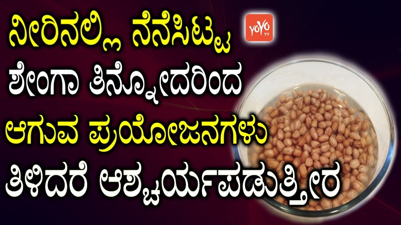 ನೀರಿನಲ್ಲಿ ನೆನೆಸಿಟ್ಟ ಶೇಂಗಾ ತಿನ್ನೋದರಿಂದ ಆಗುವ ಪ್ರಯೋಜನಗಳು ತಿಳಿದರೆ ಆಶ್ಚರ್ಯಪಡುತ್ತೀರ | YOYOTVKannadaHealth