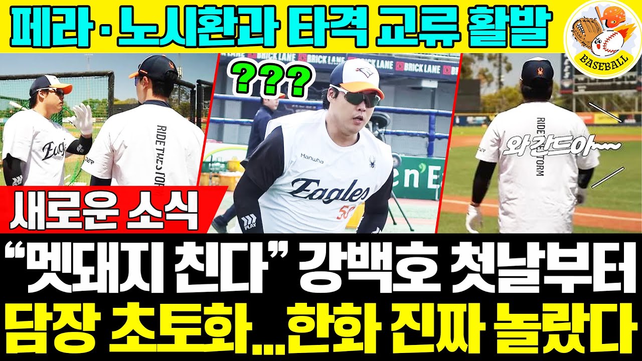 “멧돼지 친다!🐗” 강백호 첫날부터 담장 초토화… 배팅 파워에 선수들 ‘감탄’💥 페라·노시환과 타격 교류 활발