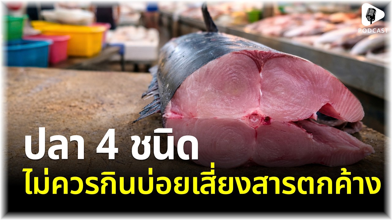 ปลา 4 ประเภทที่ควรหลีกเลี่ยง ไม่ควรกินบ่อย (เสี่ยงสารปนเปื้อนตกค้างเกินมาตรฐาน)