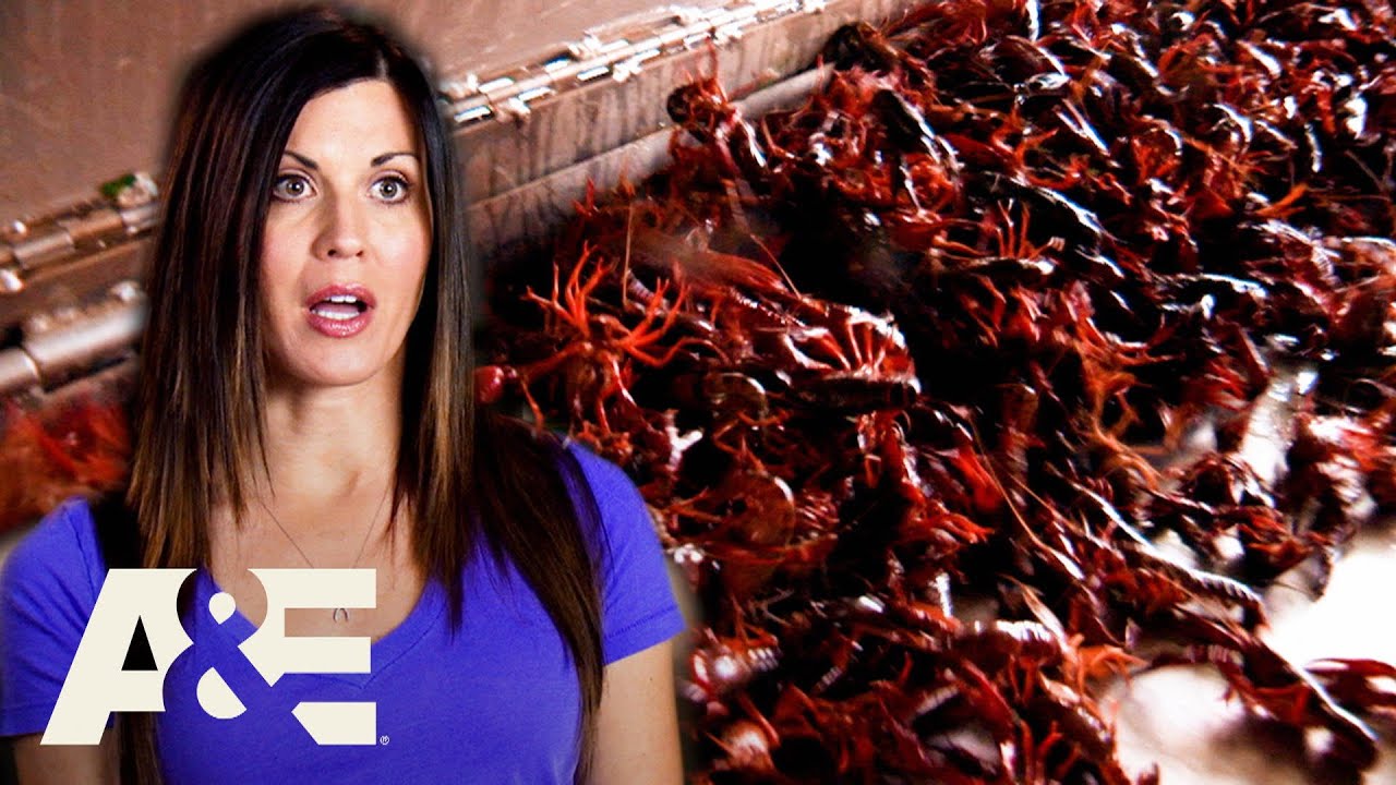 Shipping Wars: Freighting FOOD! Top 3 Moments | A&E
