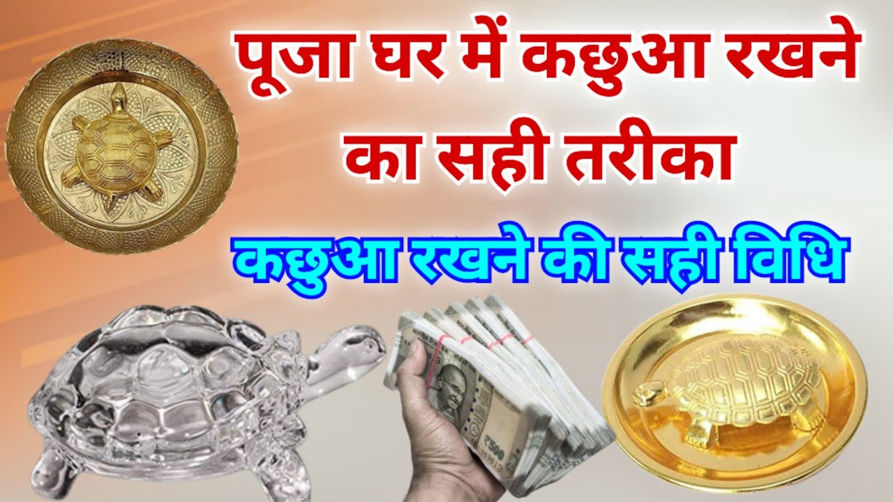 पूजा घर में कछुआ कैसे रखना चाहिए | How to keep tortoise in pooja ghar | Trotrise in house astrology
