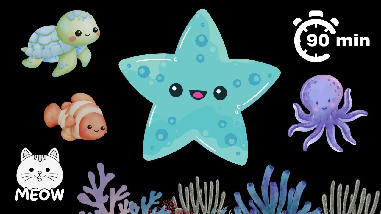 Dancing Starfish and Friends | High Contrast Baby Sensory Video