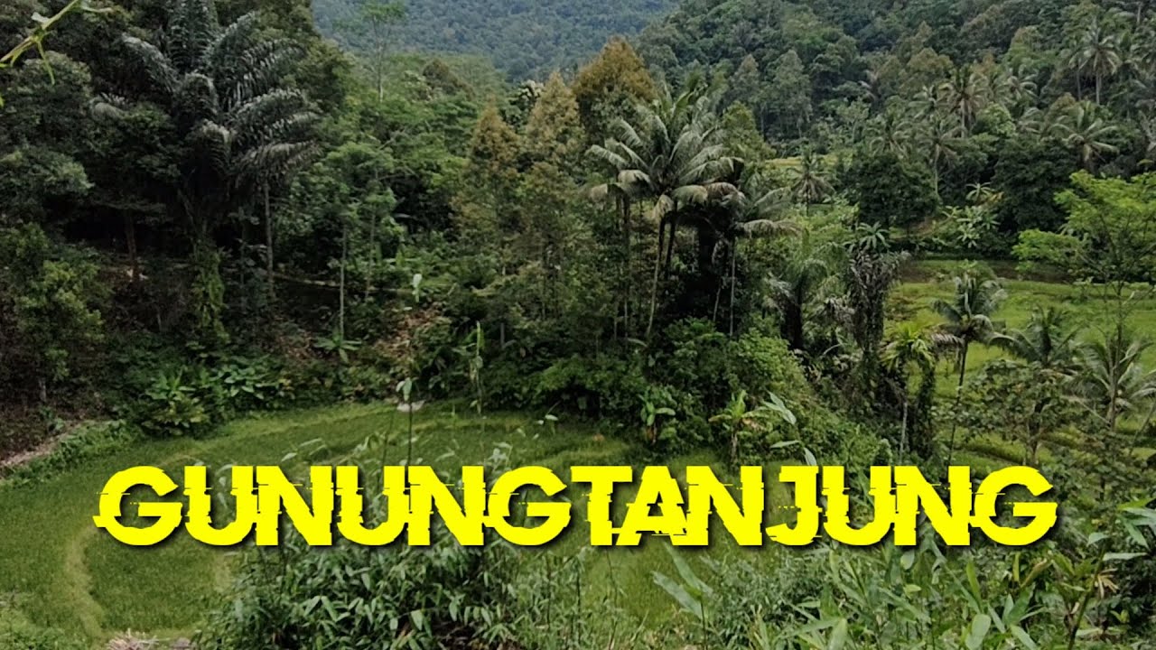 Pemandangan Alam Gunungtanjung