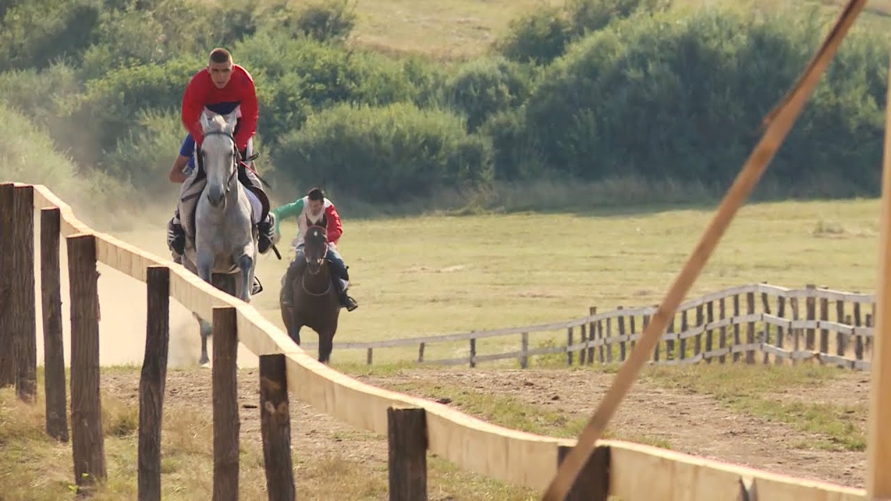 Konjičke trke u Kneževu, sport za tradiciju i turizam