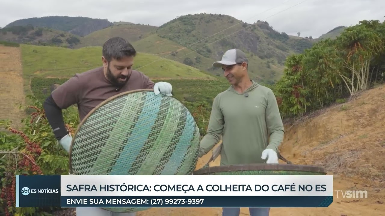 Safra histórica: Começa a colheita do café no ES - 20/05/2025