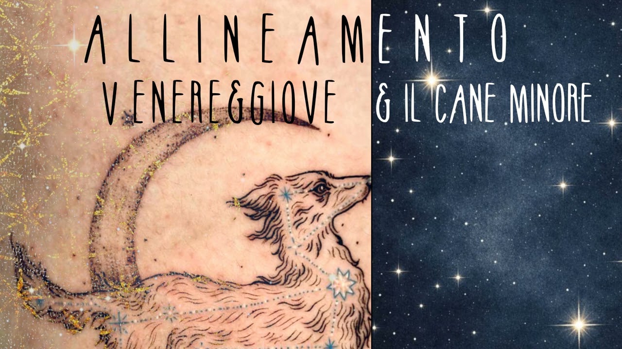 Allineamento Venere/Giove in Cancro con la stella fissa Procione||Sonia Vega