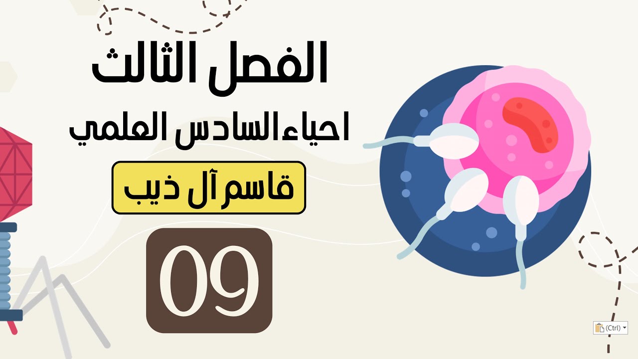 المحاضرة (9) الفصل الثالث التكاثر في السرخسيات والحزازيات أ. قاسم آل ذيب