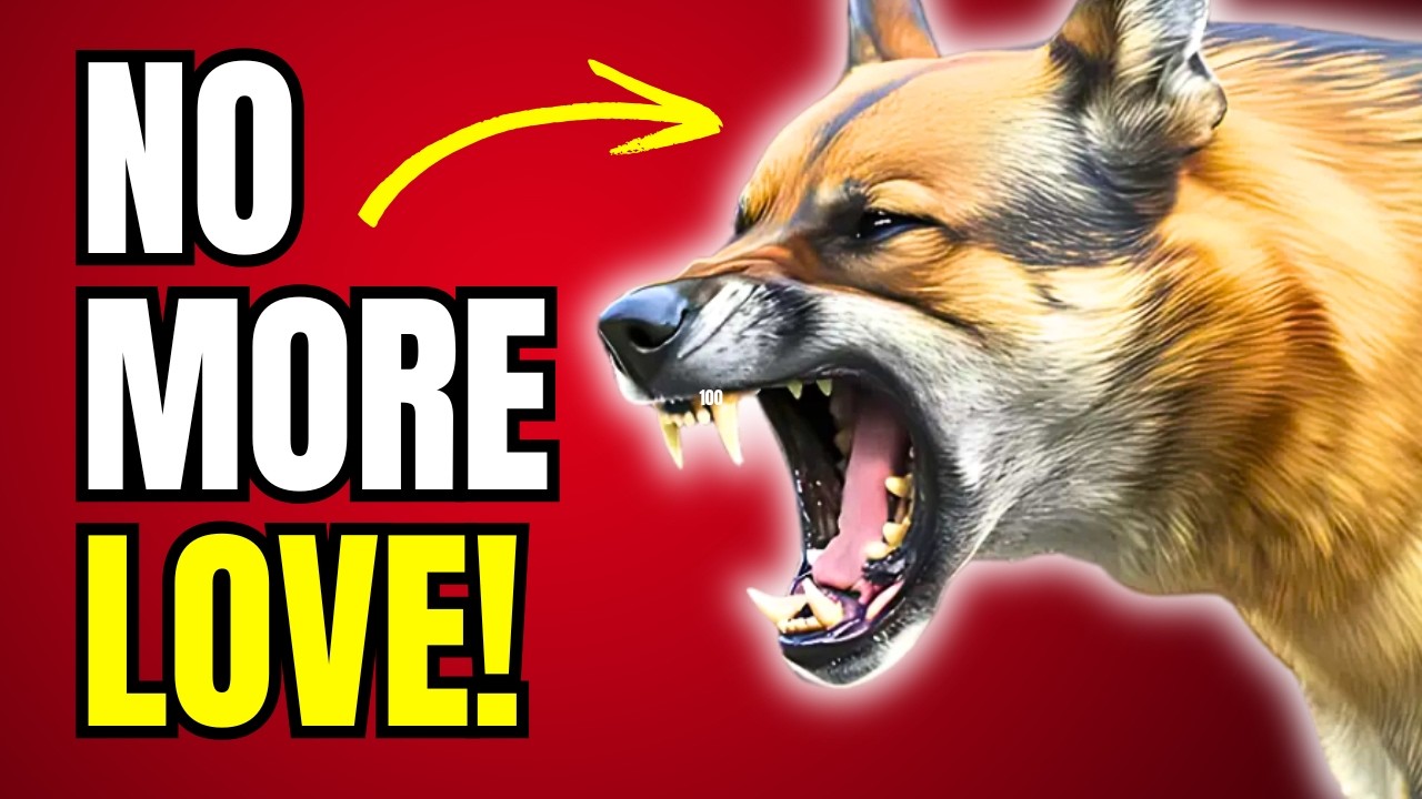 20 ATROCITIES That Will DESTROY a Dog's Love For You! | K9Pedia