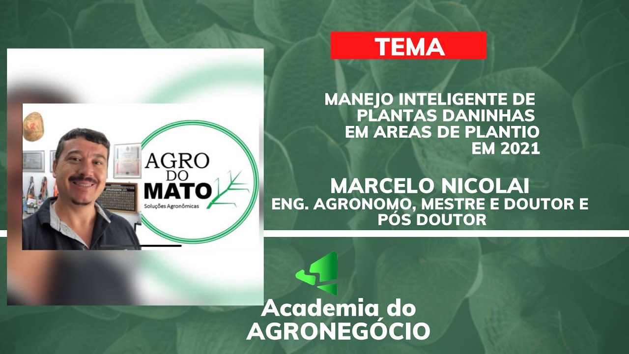MANEJO INTELIGENTE DE PLANTAS DANINHAS, AREAS DE PLANTIO POR MARCELO NICOLAI ACADEMIA DO AGRONEGOCIO