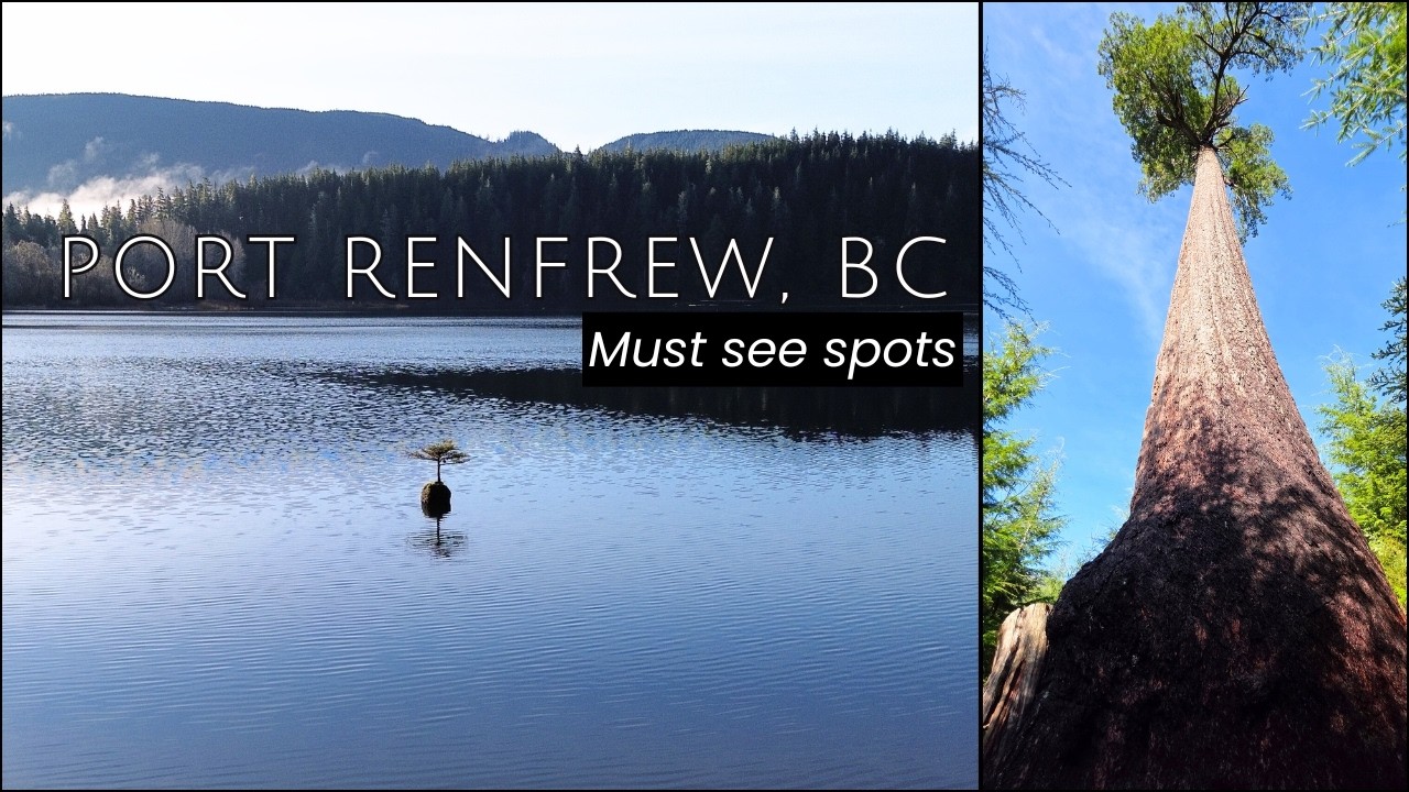 Best adventures in Port Renfrew, BC - Beaches, Lakes & Huge Trees! | Vancouver Island