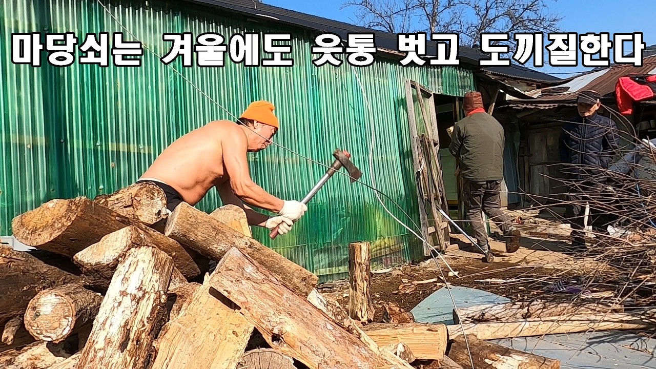 마당쇠는 추운 겨울에도 웃통 벗고 도끼질한다.