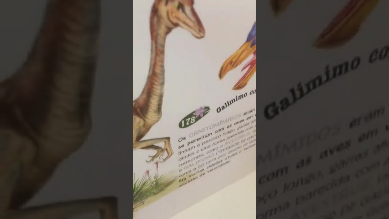 Lendo e falando sobre o livro 500 perguntas e respostas sobre os Dinossauros 