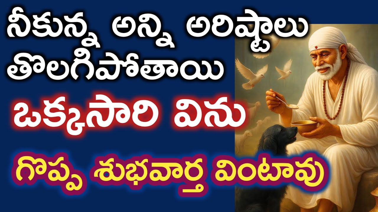 ఒక్కసారి నామాటలు విను తల్లీ గొప్ప జీవితం శుభవార్త వింటావు |saibaba advice @Sai Palukulu