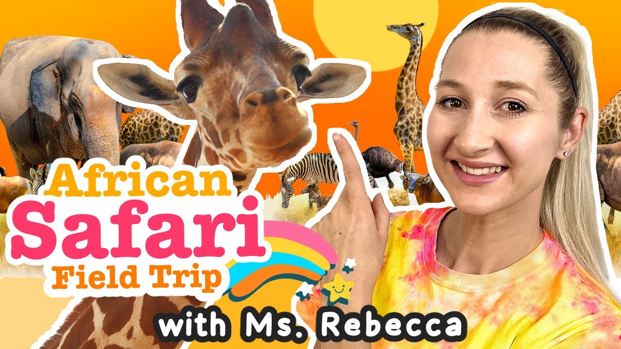 Ms. Rebecca Goes on a Safari Field Trip (Preschool Learning)