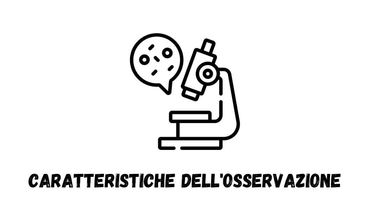 Le caratteristiche dell'osservazione.