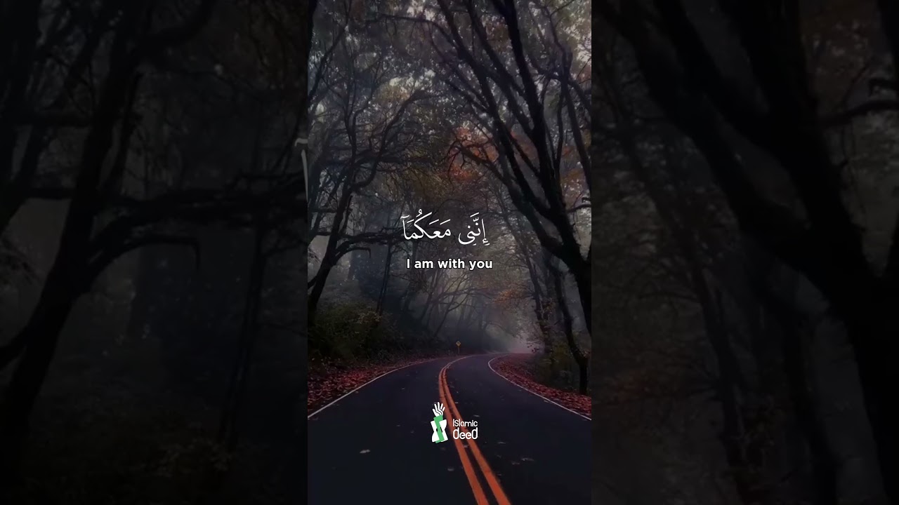 Don't Fear or Stress | Powerful Quran Verse Reminds Us: Allah Is With Us
