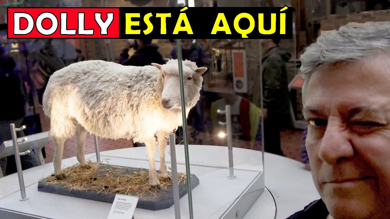 Aquí guardaron a DOLLY!  ¡Te lo muestro! ¿Vale la pena el MUSEO NACIONAL de ESCOCIA?