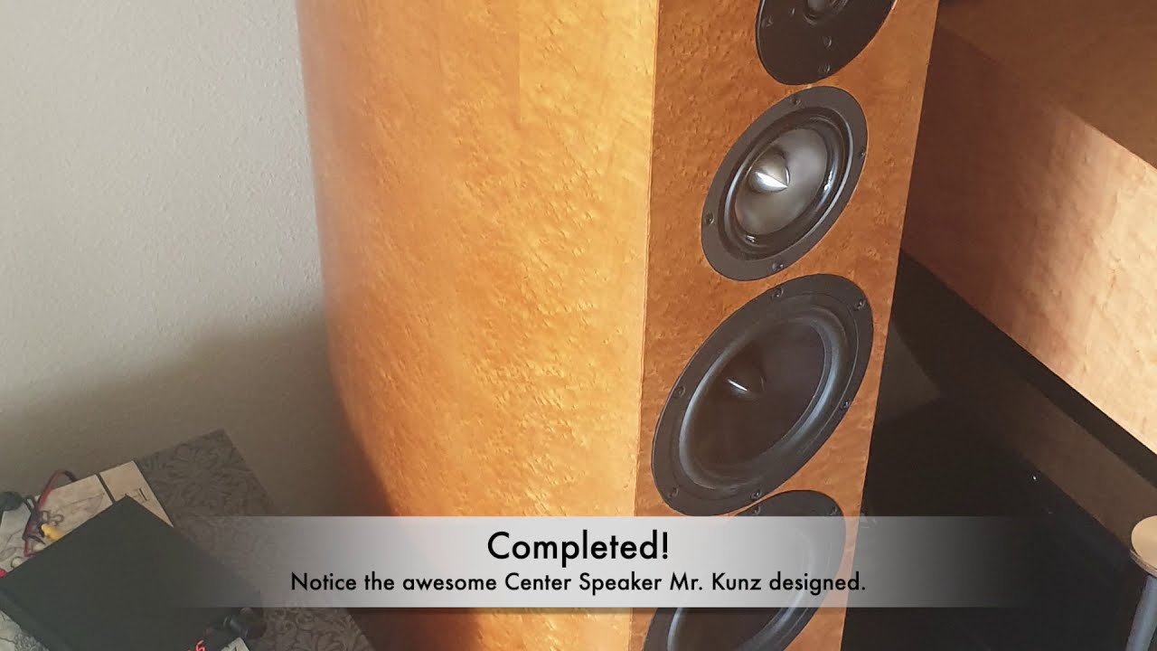 Clearwave 4 TSE Tower Speaker Build DIY